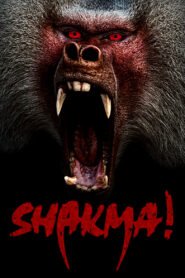 Shakma